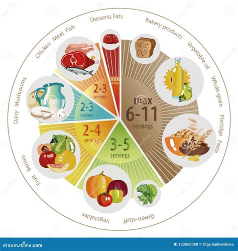 Food Pyramid Of Pie Chart Vector Illustration | CartoonDealer.com ...