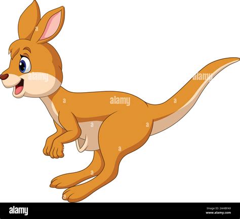 Cartoon jumping Kangaroo isolated on white background Stock Vector Image & Art - Alamy