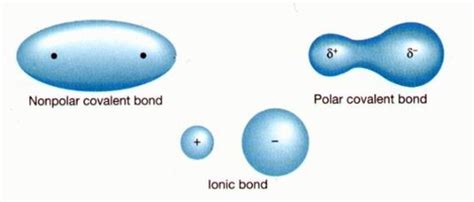 Polar Covalent Compound Examples