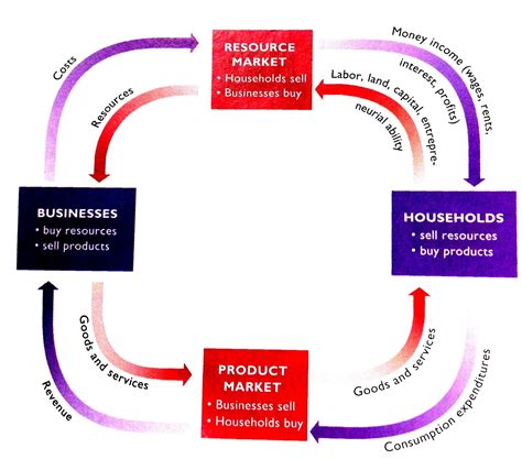 Macroeconomics AP: Market Interaction / Circular Flow