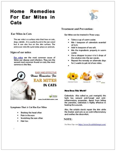 Home remedy for ear mites in cats