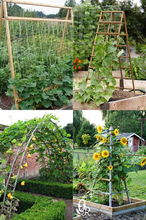 24 Easy DIY Garden Trellis Ideas & Plant Structures - A Piece of Rainbow