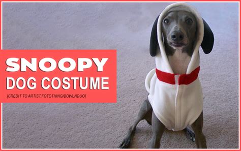 Dog Snoopy Costume - Surprise Everyone At The Party! - Dogbells