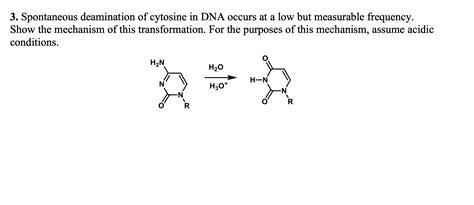 Solved 3. Spontaneous deamination of cytosine in DNA occurs | Chegg.com