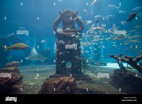 Bahamas Paradise Island Nassau Aquarium inside Atlantis Resort Stock Photo - Alamy