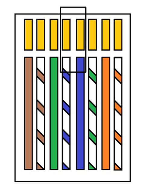 cat6-ethernet-cable-crimping-wire-order | tomorrow started