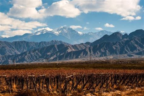 The BEST Mendoza Tours and Things to Do in 2022 - FREE Cancellation | GetYourGuide