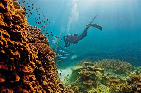 Guide to the Great Barrier Reef - Tourism Australia