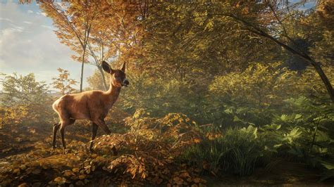 theHunter: Call of the Wild Review | TheXboxHub