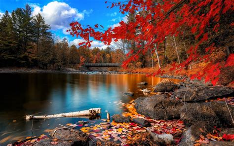 Fall Scenery Wallpapers - Top Free Fall Scenery Backgrounds - WallpaperAccess