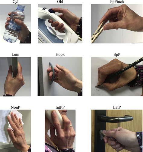 Relevance of grasp types to assess functionality for personal autonomy - Journal of Hand Therapy