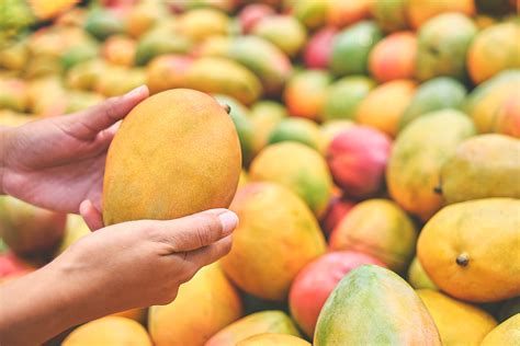 Types of Mangoes: The Best Varieties - Fine Dining Lovers