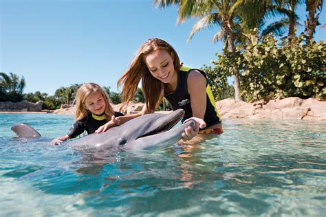 A day at Discovery Cove now includes admission to SeaWorld Orlando AND Aquatica