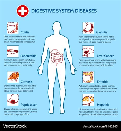 Human digestive system diseases Royalty Free Vector Image