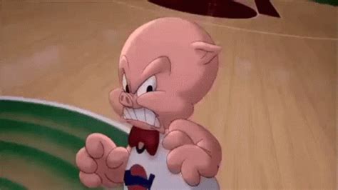 Space Jam Porky Pig GIF - Space Jam Porky Pig Grrrrrr - Discover & Share GIFs