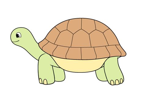 How to Draw a Tortoise Step by Step - EasyLineDrawing