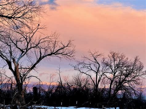 Scenes Of Red-tailed Hawks Nesting In Española Valley