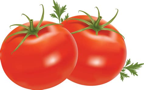 PNG Tomato Sauce Transparent Tomato Sauce.PNG Images. | PlusPNG