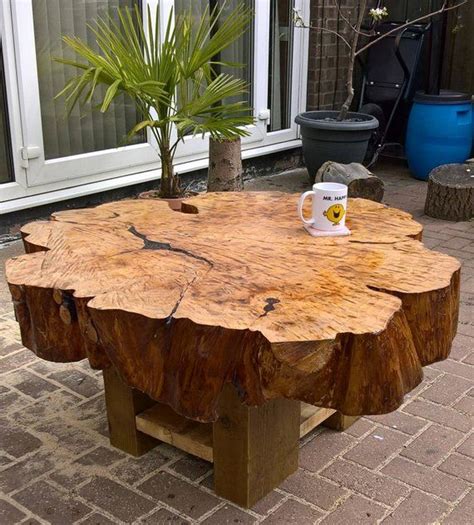 5 Creative Uses For Coffee Table Trees - Coffee Table Decor