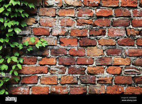 Old Brick Wall Background