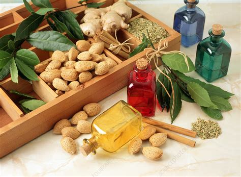 Four bottles of aromatherapy oil with loose herbs. - Stock Image - M743/0040 - Science Photo Library