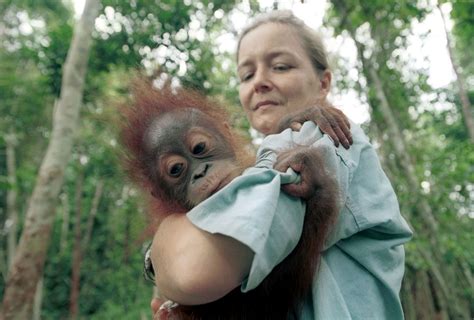 Orangutan Rescue Borneo - Chilean documentary and photojournalist for ...