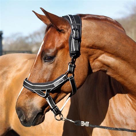 Protechmasta Horse Headcollar Ergonomic Black | Equestrian Headcollar ...