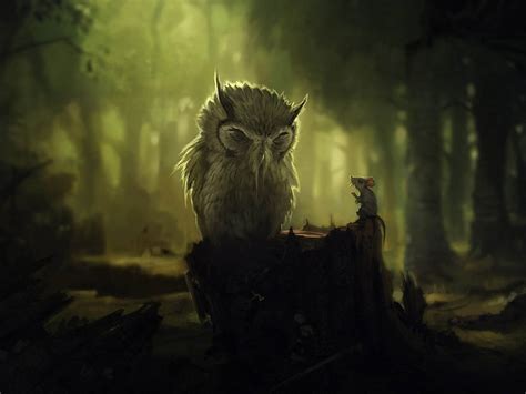 wallpaper: Funny Owl