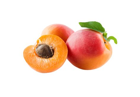 Apricot png transparent background 29228613 PNG