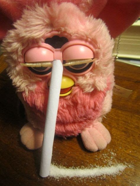 41 Best Furby meme images | Furby boom, Memes, Reaction pictures