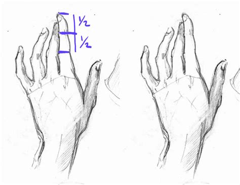 How to Draw Anime Hands, a Step-by-Step Tutorial – Two Methods – GVAAT'S WORKSHOP