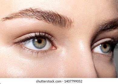 94,357 Natural Eyebrows Images, Stock Photos & Vectors | Shutterstock