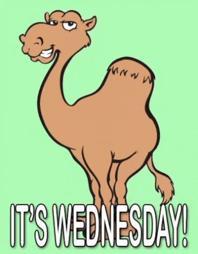 Hump Day Camel GIF - Hump Day Camel Its Wednesday - Discover & Share GIFs