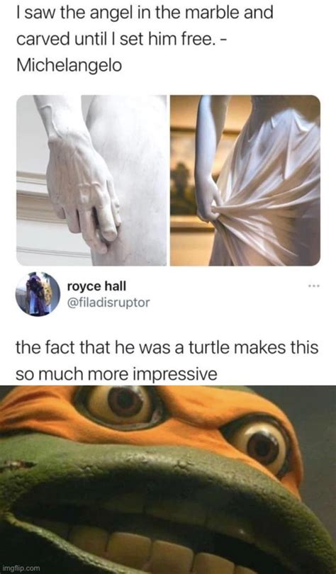 teenage mutant ninja turtles Memes & GIFs - Imgflip