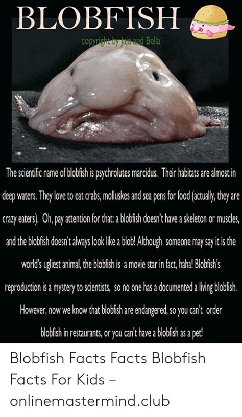 7 Photos Blobfish Facts For Kids And View - Alqu Blog