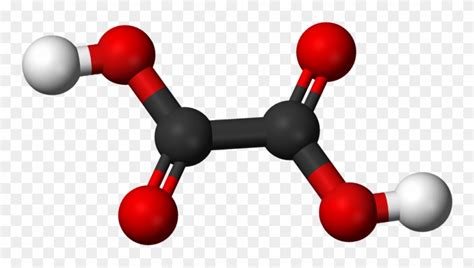 See Picture Below - Oxalic Acid Molecular Structure Clipart (#1442690 ...