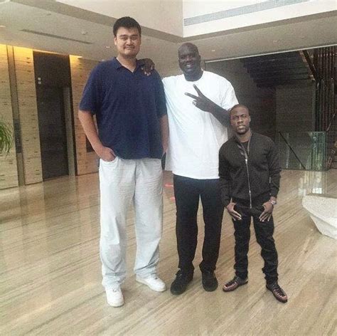 Yao ming, shaq and kevin hart - Picture Is Unrelated - Funny Picture | Funny Video | WTF | WTF Pics