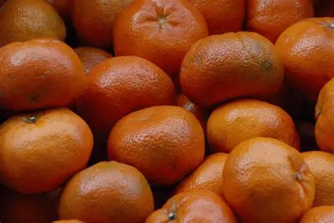 Difference between a Tangerine and a Mandarin - Difference.Guru