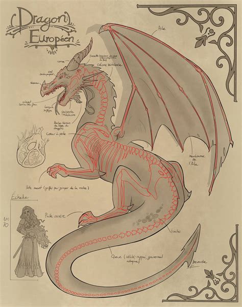 European Dragon by NerwendeDragonRider on DeviantArt