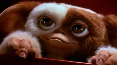 Gremlins 3: Release Date| Cast| Plot| Trailer and Who's Coming Back ...