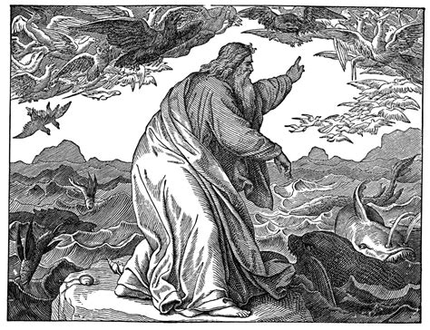 5Th Day Of Creation. N(Genesis 120-23). Wood Engraving 19Th Century ...