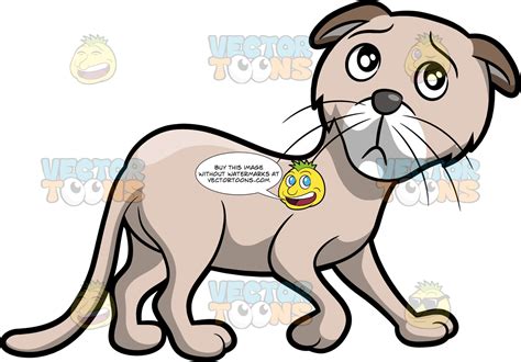 sad cat clip art 10 free Cliparts | Download images on Clipground 2023