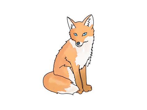 Fox Animal Drawing