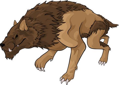 Brown Wolf Drawing Stock Photos, Pictures & Royalty-Free Images - iStock