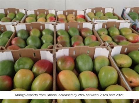 NTEs 2021 Report – Ghana Leads Yam Export Globally - Ghana Shippers Authority