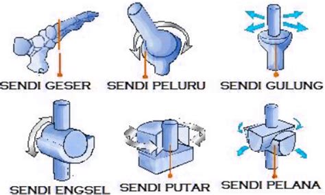 Sendi Peluru - Contoh dan Gambar Lengkap Beserta Pengertian