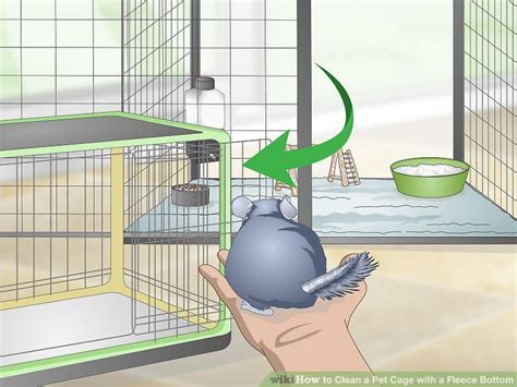 How to Clean a Pet Cage with a Fleece Bottom: 12 Steps