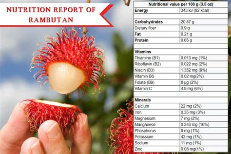 Fresh Rambutan Fruit Nutrition Facts | Besto Blog