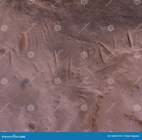 Ancient Rock Art in Sahara Desert Stock Photo - Image of petroglyph, desert: 169637374