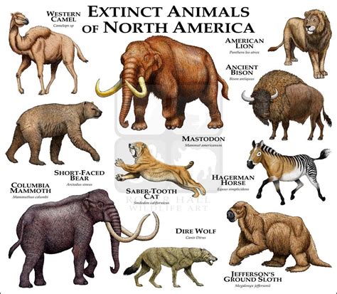 Types Of Animals Mammals - Pets Lovers